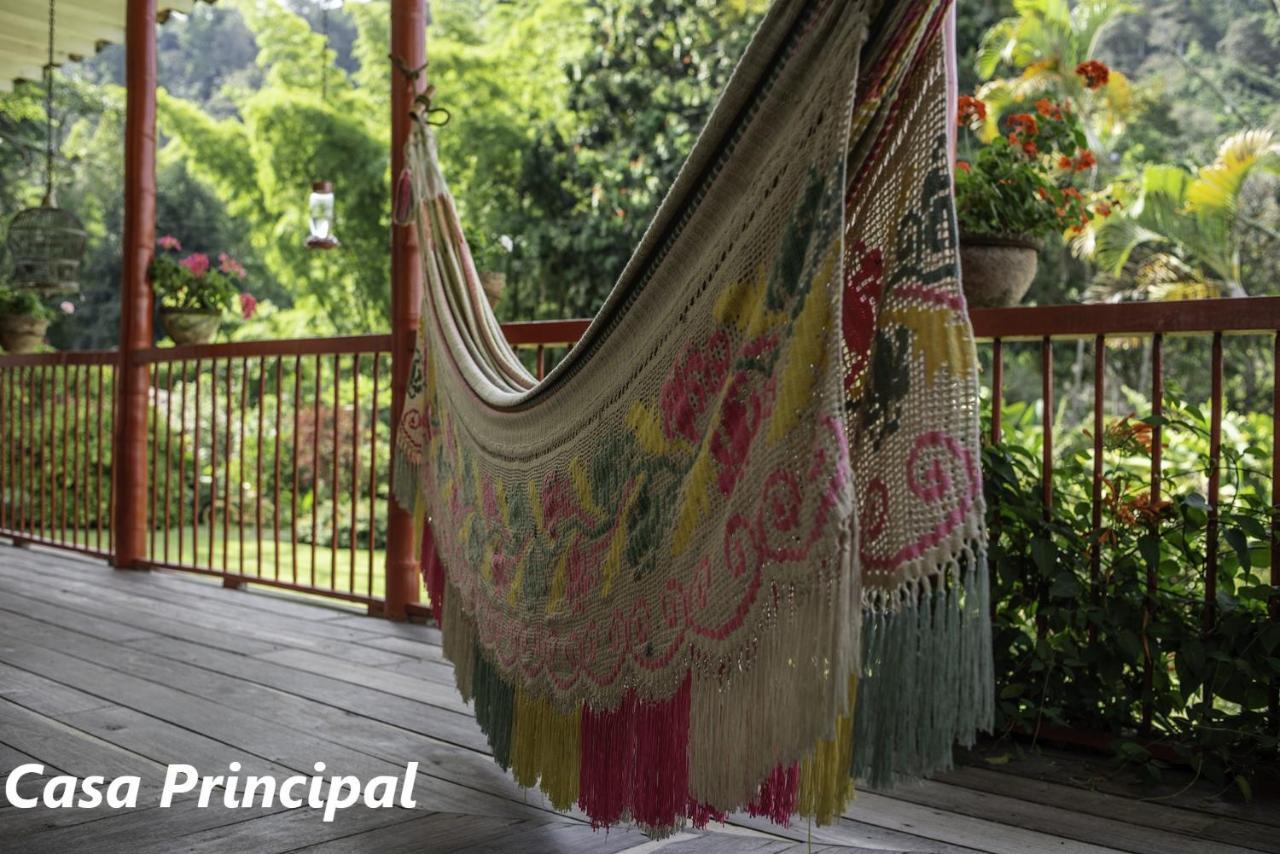 Hacienda Venecia Coffee Farm Hotel San Peregrino Exterior foto
